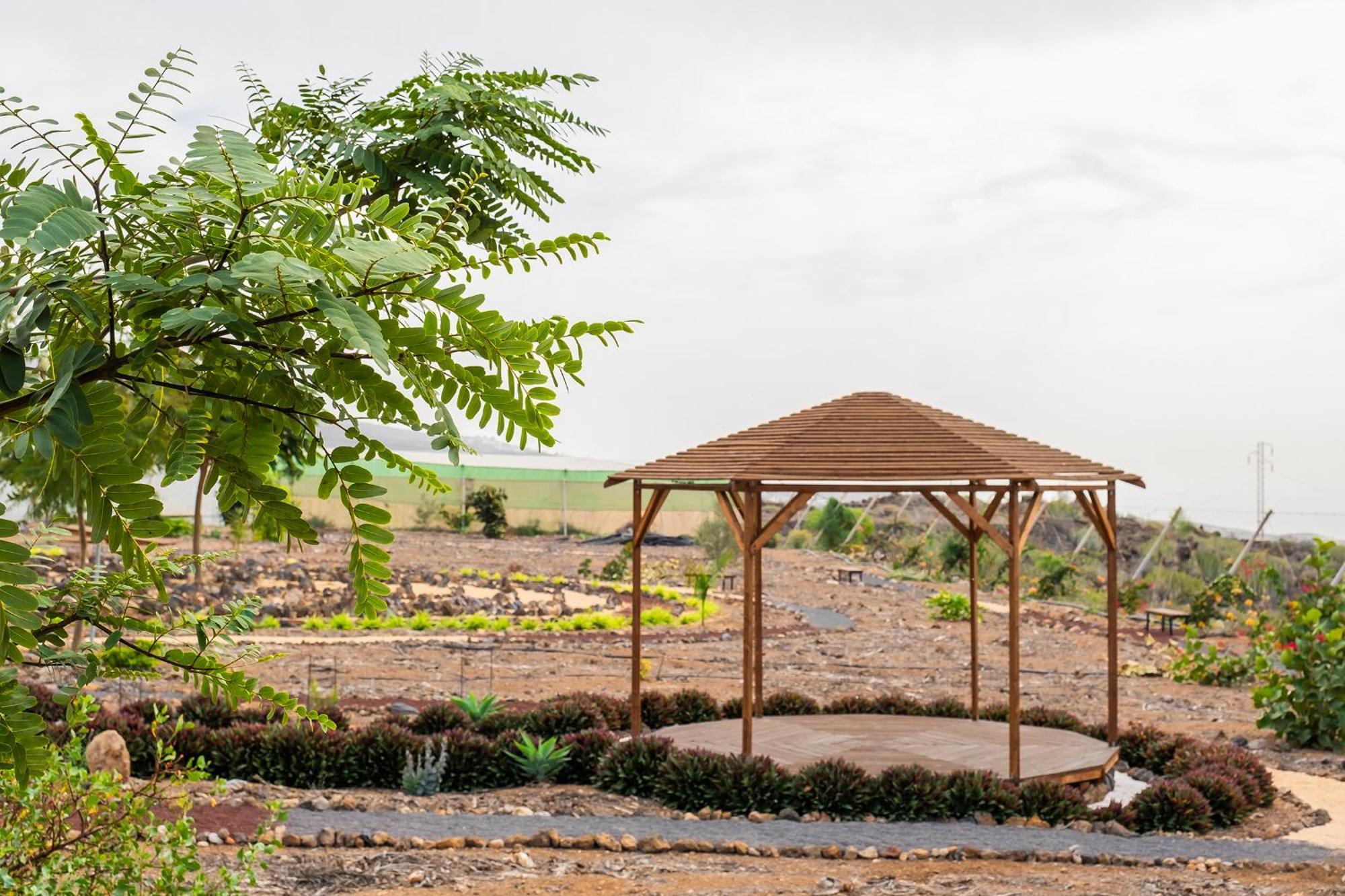 Tenerife Healing Garden غيا ذي إسورا المظهر الخارجي الصورة