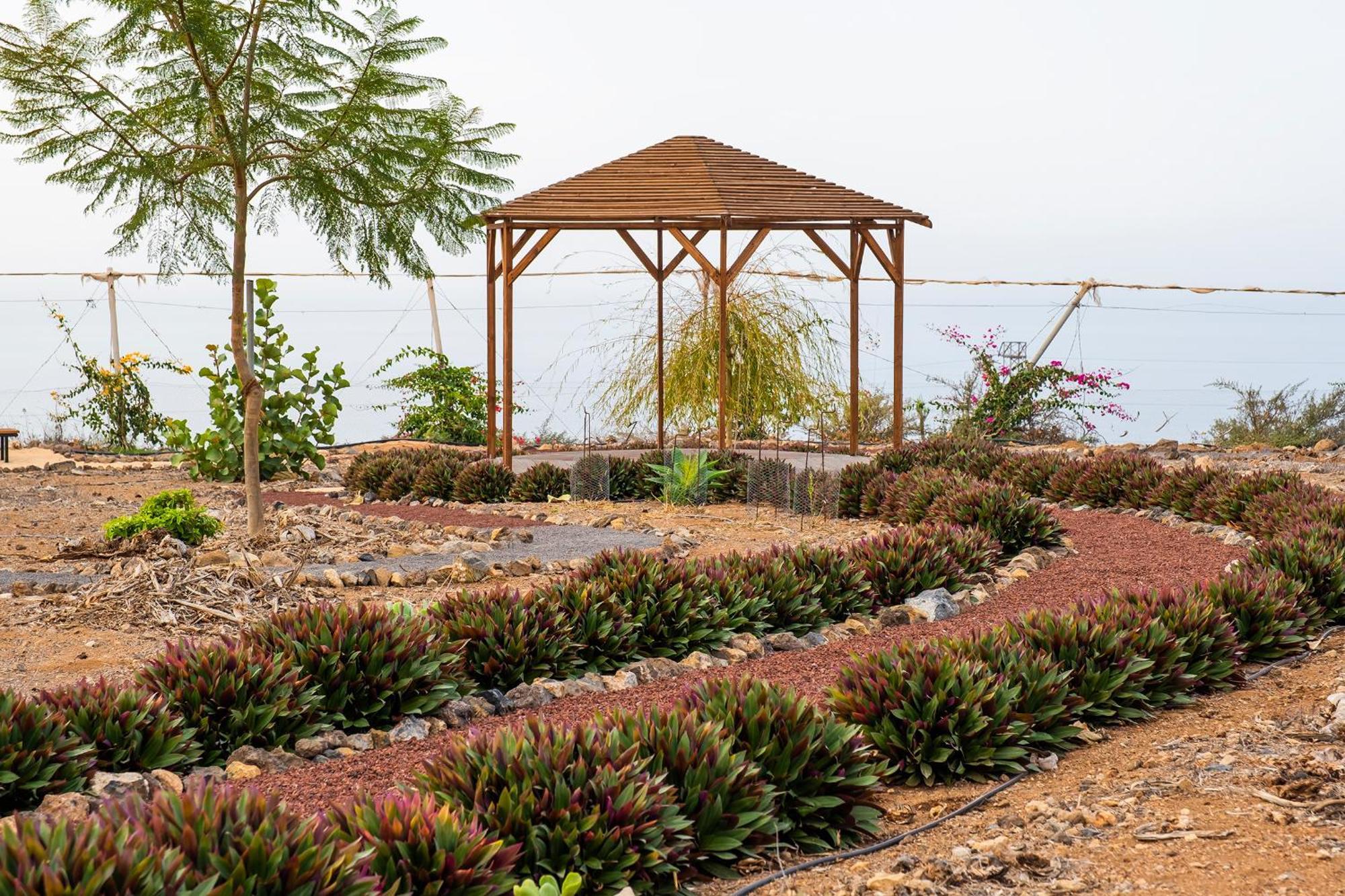 Tenerife Healing Garden غيا ذي إسورا المظهر الخارجي الصورة