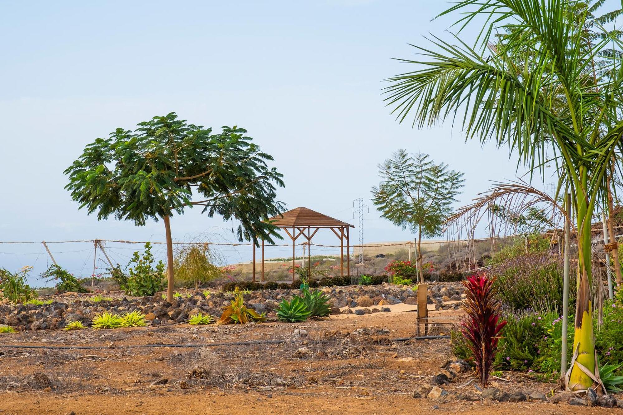 Tenerife Healing Garden غيا ذي إسورا المظهر الخارجي الصورة