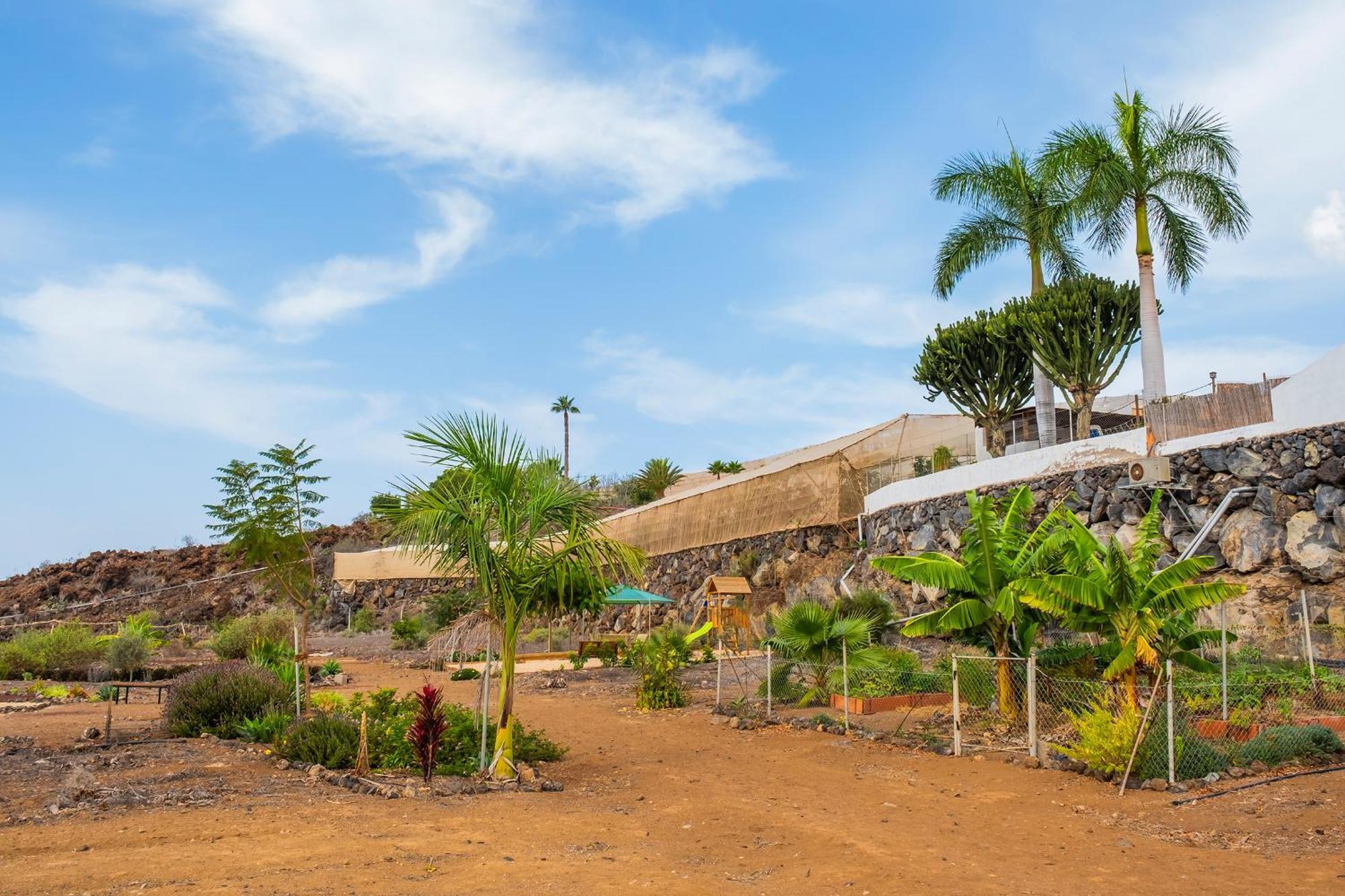 Tenerife Healing Garden غيا ذي إسورا المظهر الخارجي الصورة